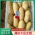 【热销】精品荷兰15806朝河兰品种齐全价优