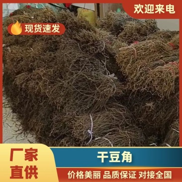 精品干豆角，亳州，特产，脱水干菜，代加工各种各样的规格。