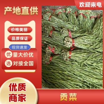 安徽贡菜，亳州特产名菜产地直发，量大从优，批零兼营。