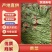 安徽贡菜，亳州特产名菜产地直发，量大从优，批零兼营。
