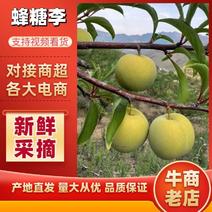 镇宁县六马峰糖李当地产地直供，品质保证，一手货源欢迎采购！