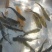 虹鳟金鳟鱼苗淡水养殖活体金鳟鱼观赏鱼欢迎咨询