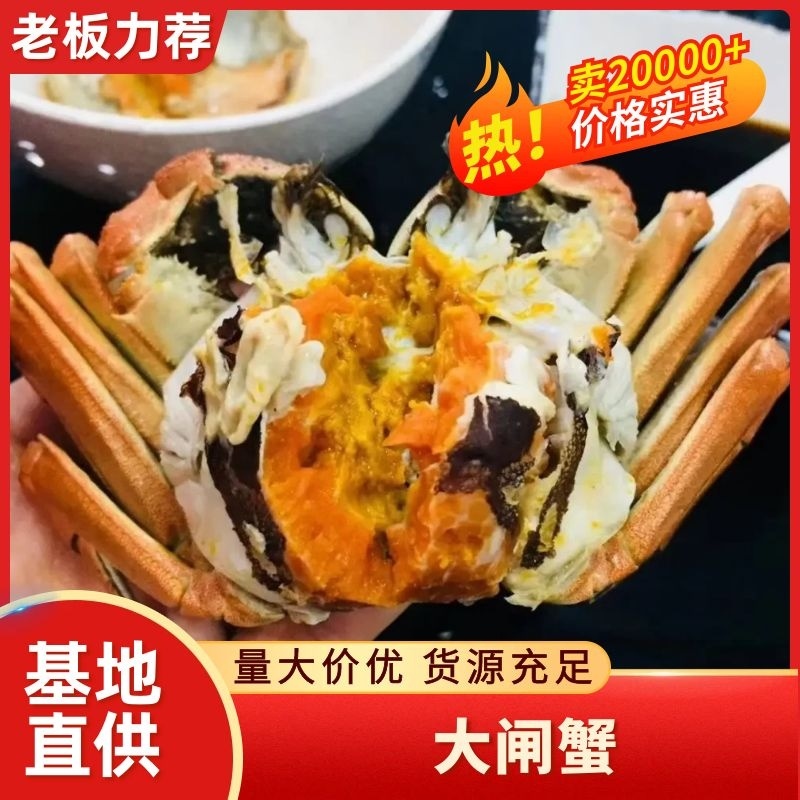江苏兴化精品六月黄大闸蟹，大量供应全国发货，塘口直供