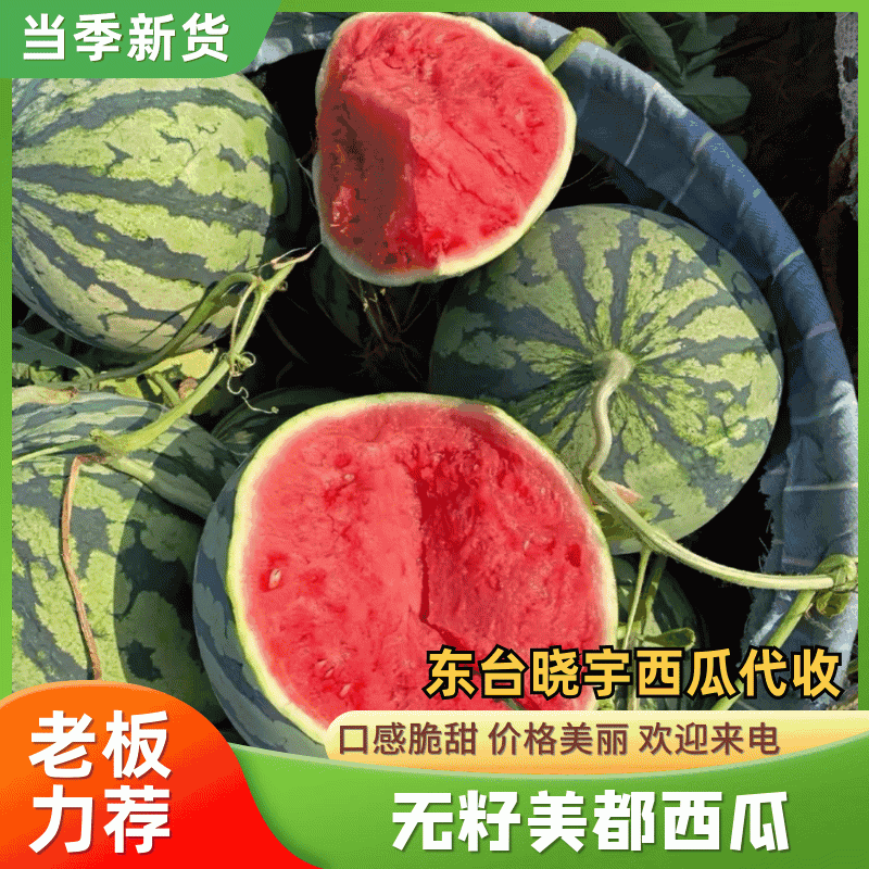《美都西瓜》江苏美都西瓜东台西瓜产地直发包熟包甜