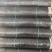 PE防草布新品上市，质量保证，品种纯正，假一赔十
