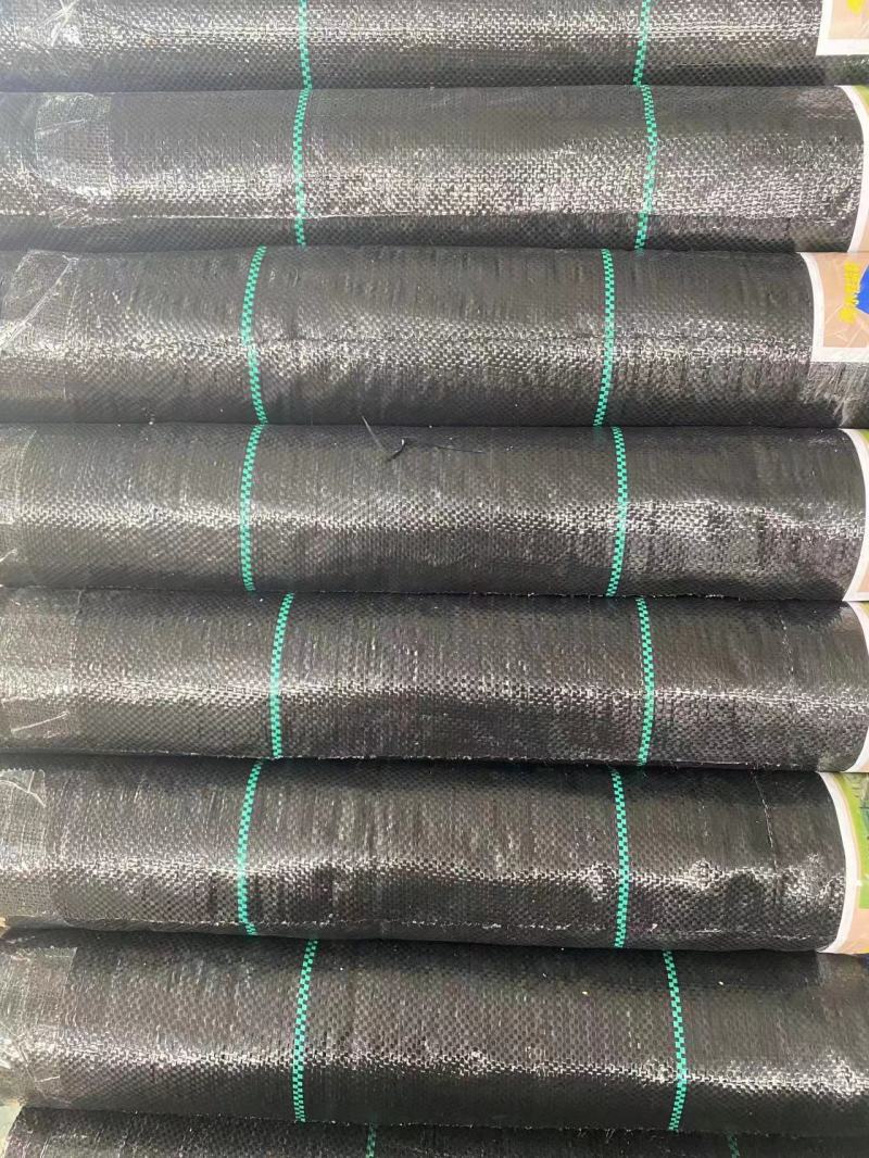 PE防草布新品上市，质量保证，品种纯正，假一赔十