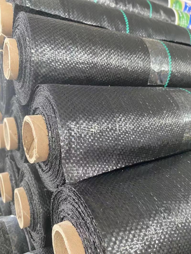 PE防草布新品上市，质量保证，品种纯正，假一赔十