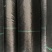 PE防草布新品上市，质量保证，品种纯正，假一赔十