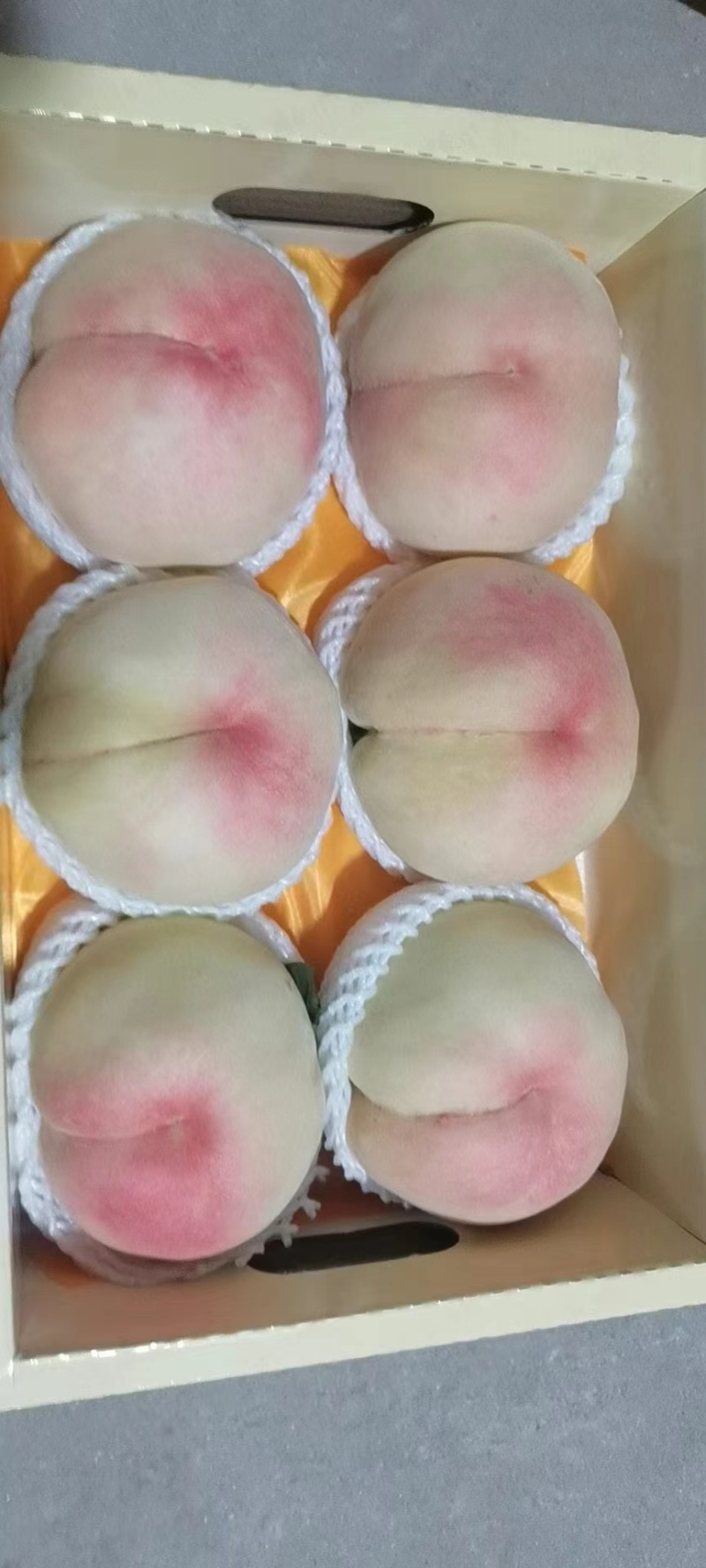 阳山水蜜桃量大质优价格优惠欢迎咨询采购一手货源