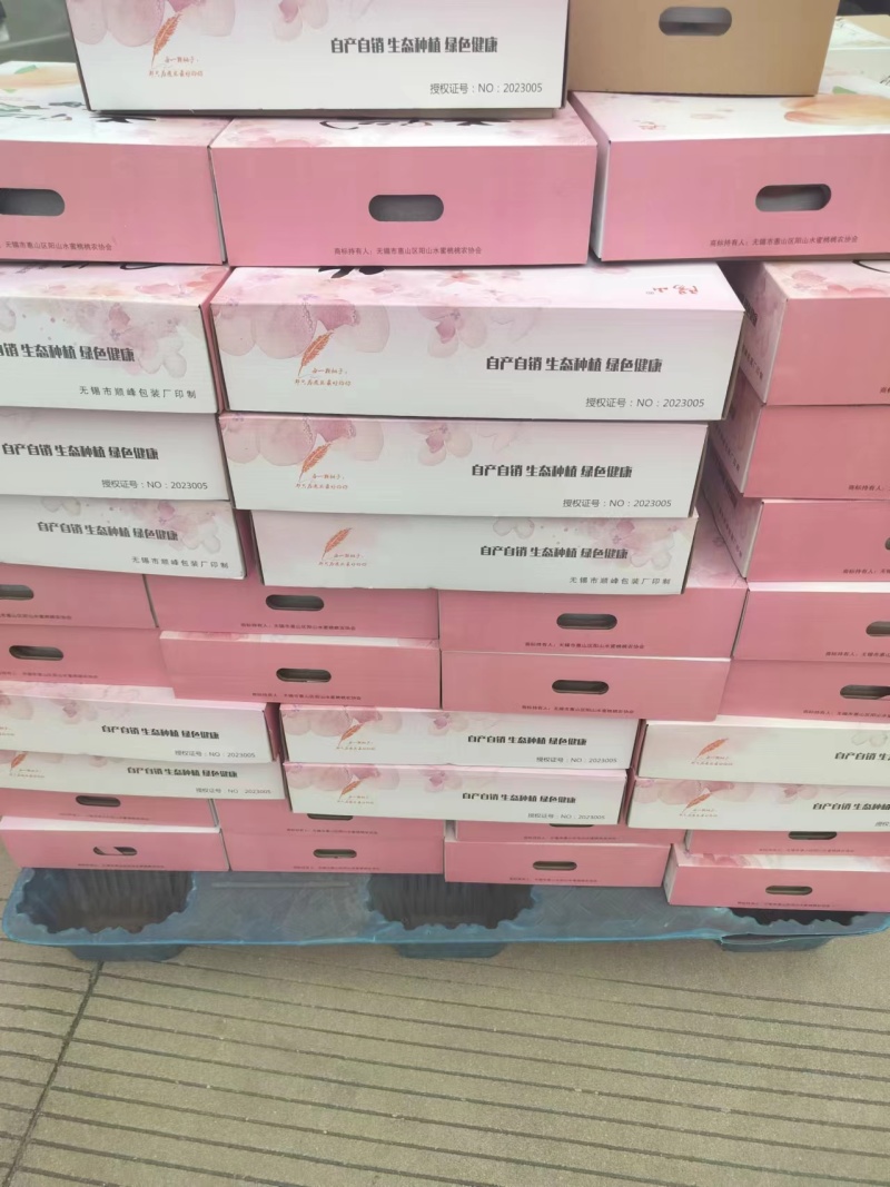 阳山水蜜桃量大质优价格优惠欢迎咨询采购一手货源