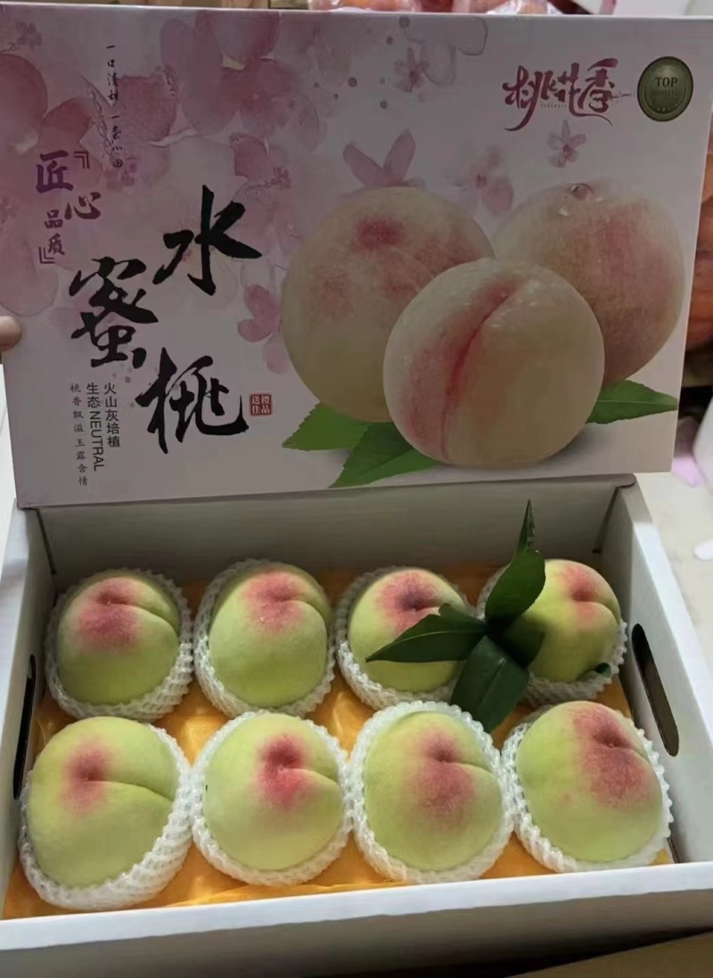 阳山水蜜桃量大质优价格优惠欢迎咨询采购一手货源