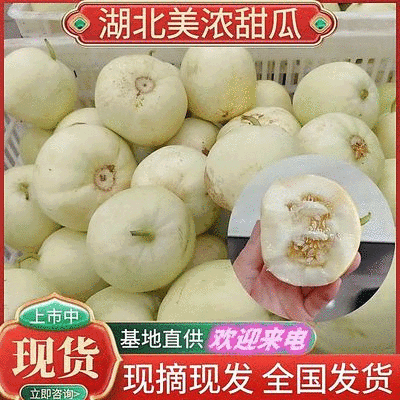 《美浓甜瓜》湖北甜瓜规格齐全价格便宜现摘现发全国代发