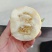 《美浓甜瓜》湖北甜瓜规格齐全价格便宜现摘现发全国代发