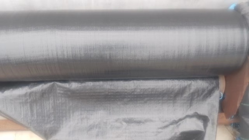 【可定制】农用PE加厚防草布品质保障欢迎咨询1