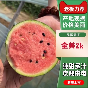 小吊瓜2K小西瓜冰糖籽手剥小西瓜小糖丸西瓜牛奶小爆瓜手掰
