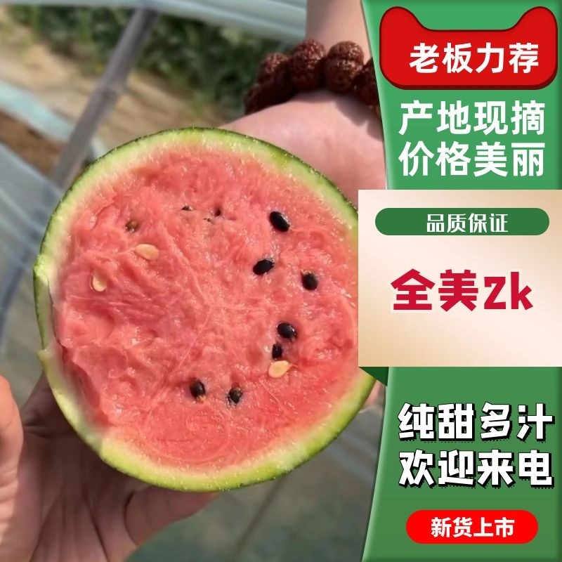 小吊瓜2K小西瓜冰糖籽手剥小西瓜小糖丸西瓜牛奶小爆瓜手掰