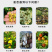 流体硼农用蔬菜水果树木作物增产微量元素水溶肥