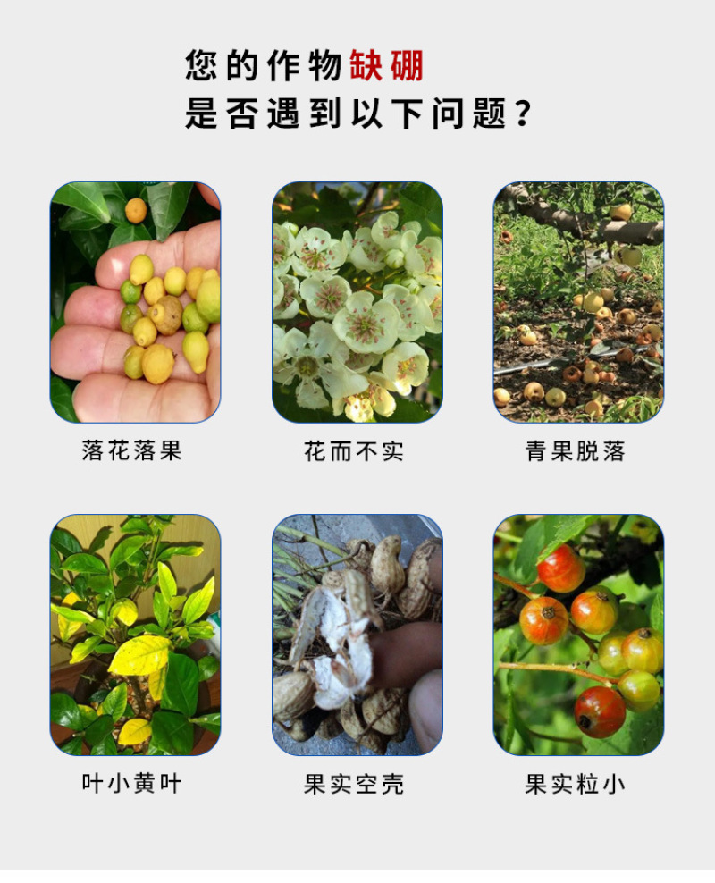流体硼农用蔬菜水果树木作物增产微量元素水溶肥