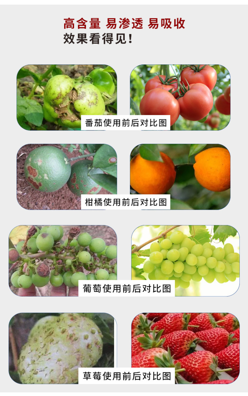流体硼农用蔬菜水果树木作物增产微量元素水溶肥