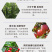流体硼农用蔬菜水果树木作物增产微量元素水溶肥
