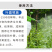 流体硼农用蔬菜水果树木作物增产微量元素水溶肥