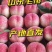 {热卖}春雪毛桃突围毛桃产地直供货源充足商超直供