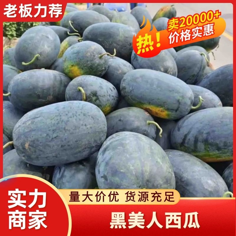 【黑美人西瓜】湖北黑美人西瓜包熟包甜对接全国市场电商