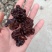 核桃菌玛卡菌产地直销一手货源大量供货价格便宜