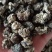 核桃菌玛卡菌产地直销一手货源大量供货价格便宜