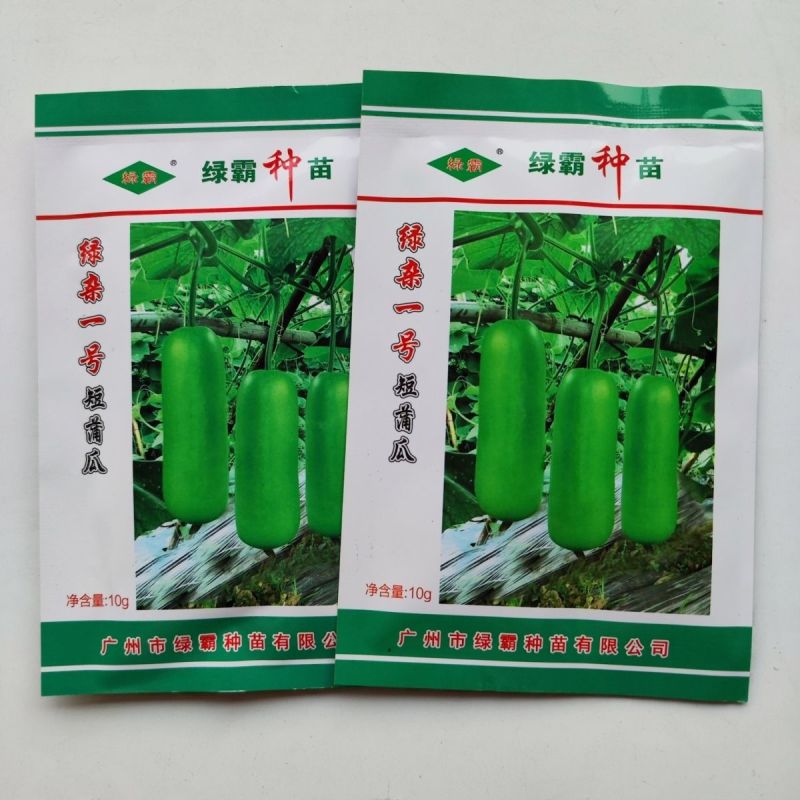 绿杂一号短蒲瓜种子早熟强雌皮翠绿肉质细嫩耐寒性好