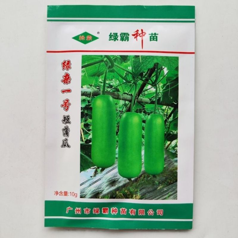 绿杂一号短蒲瓜种子早熟强雌皮翠绿肉质细嫩耐寒性好