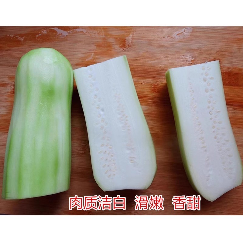 绿杂一号短蒲瓜种子早熟强雌皮翠绿肉质细嫩耐寒性好