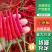 小米椒大量上市，质量保证，需要的老板联系，可代发全国