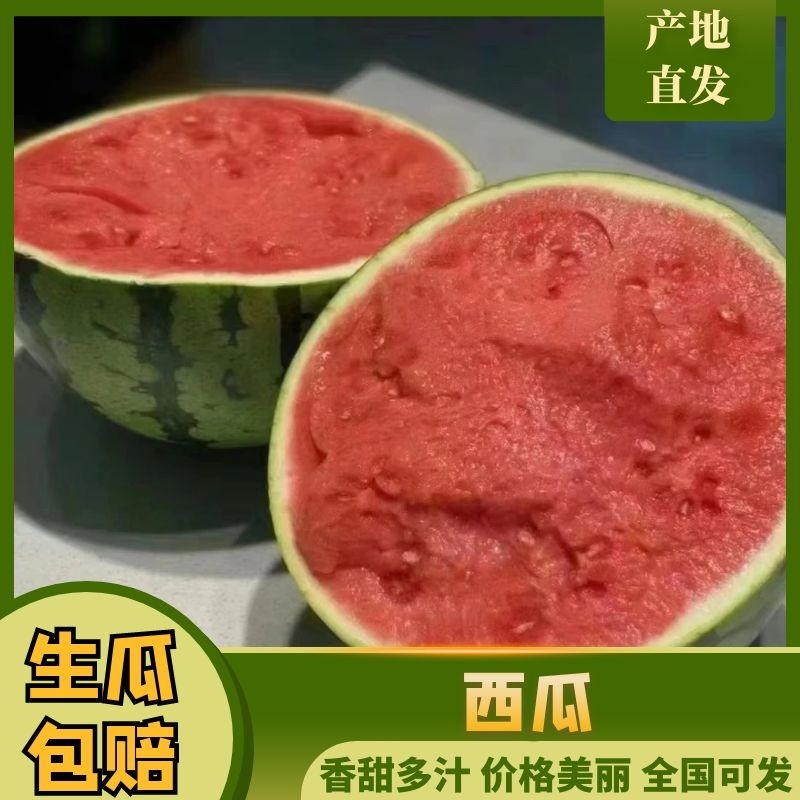 徐州美都西瓜头茬薄皮西瓜现摘现发欢迎咨询联系