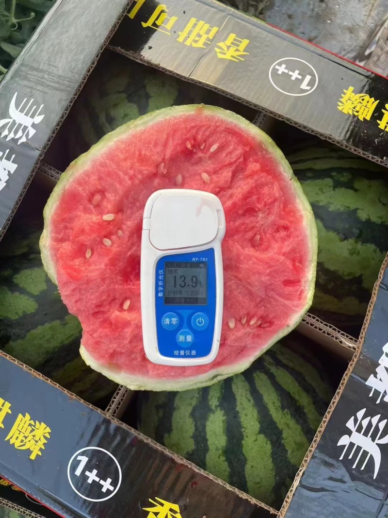 【推荐】夏邑精品美都西瓜，一手货源量大从优，欢迎来电