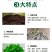 植挥官肥料生根快速壮苗绿微生物菌剂爆发生根枯草芽孢杆菌