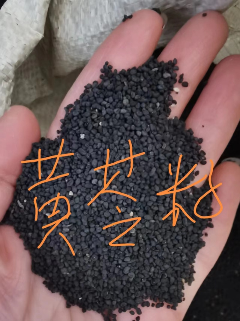 黄芩种子新货上市保质保量，量大从优欢迎大家联系