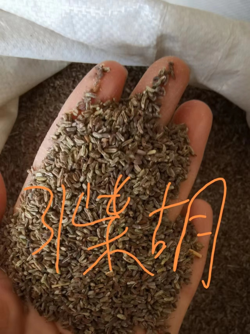 柴胡种子保质保量，产地直发，干净无掺杂土质