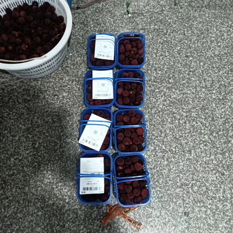 精品杨梅仙居杨梅可一件代发货源充足个子大甜度高