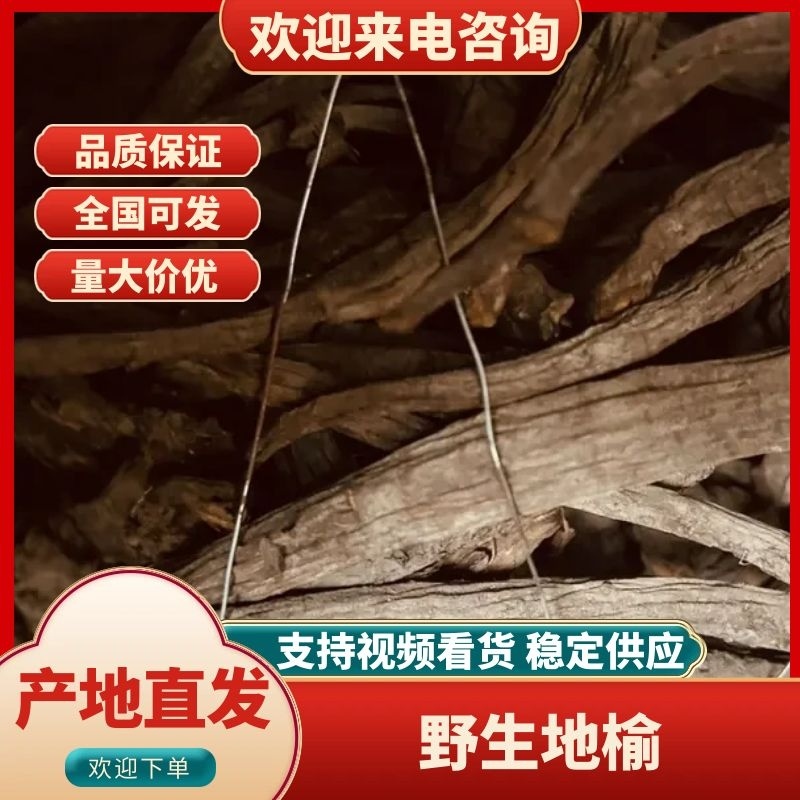 甘肃本地野生地榆条子规格齐全量大优惠可视频看货