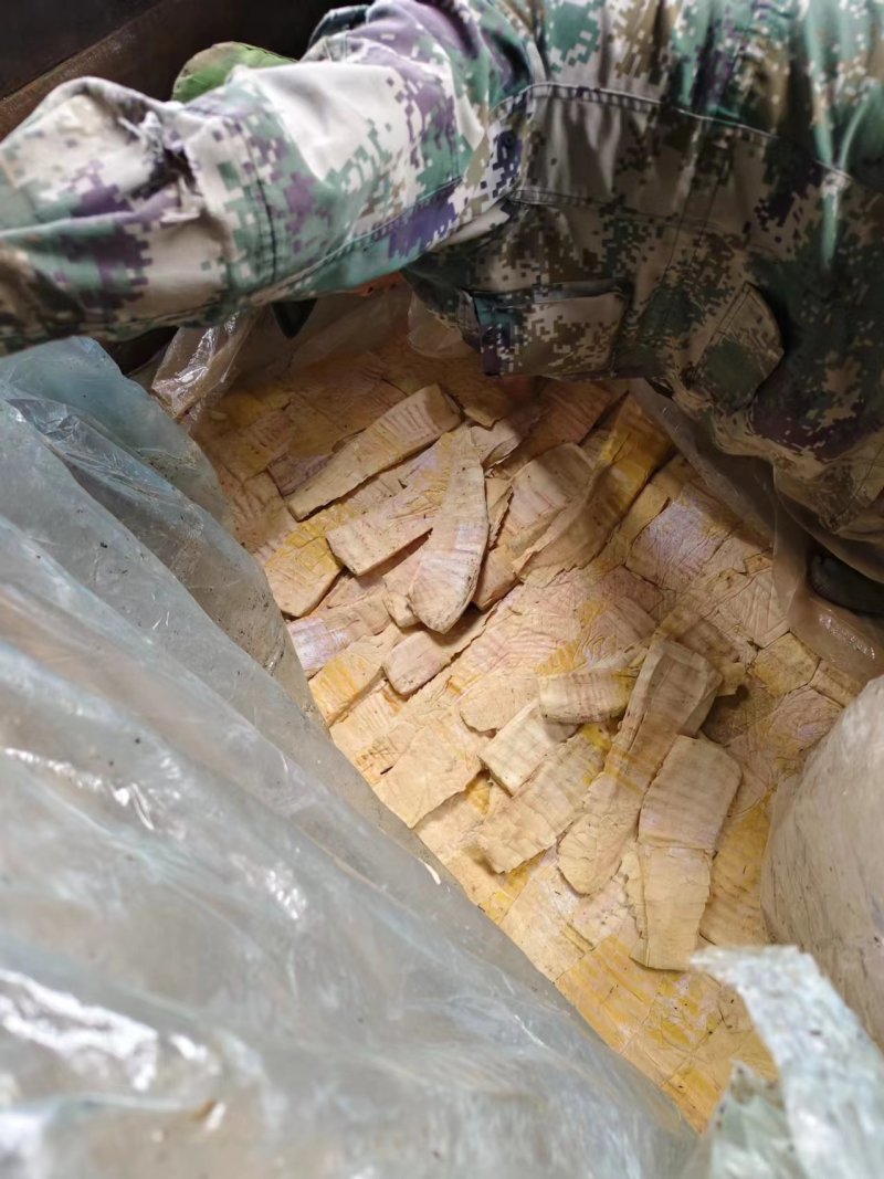 24年压榨开仓笋春笋毛竹笋厂家直发量大从优