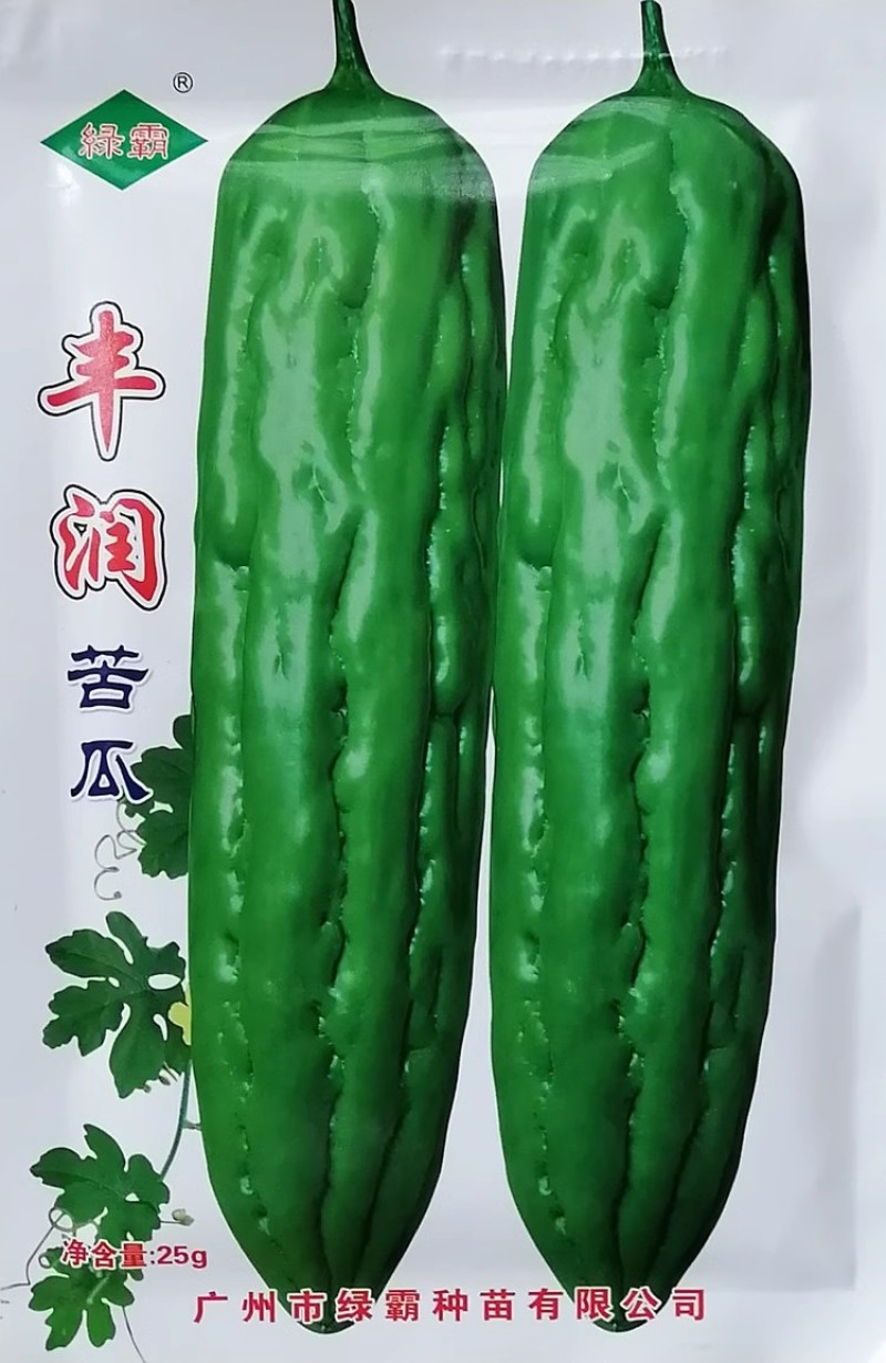 丰润苦瓜种子中熟肉厚瘤条粗直瓜条整齐耐热抗病