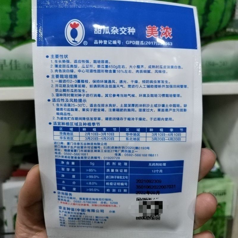 美浓甜瓜种子农友种苗薄皮甜瓜肉质细腻瓜形整齐