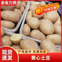 精品黄心土豆实验一等，品种齐全，价格便宜，诚信经营