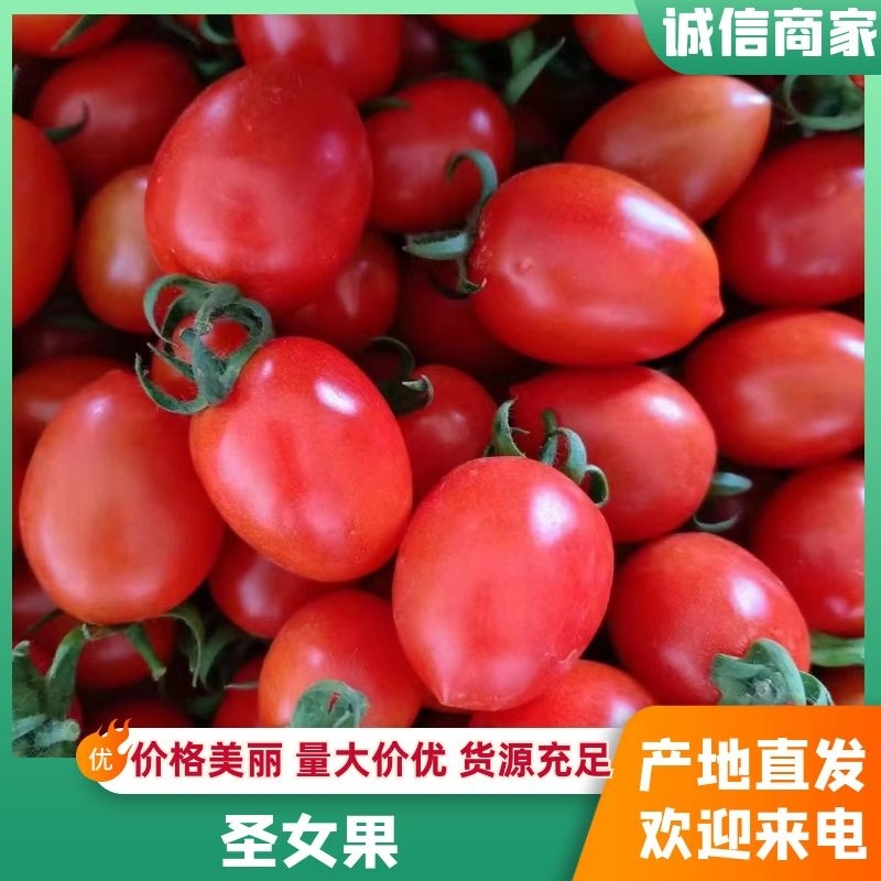 圣女果，千禧已大量上市，质优价廉欢迎各位老板前来考察选购