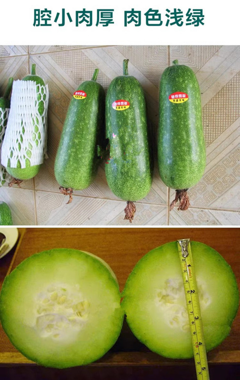 碧绿翡翠小冬瓜种子水果小节瓜种子中熟肉厚腔小
