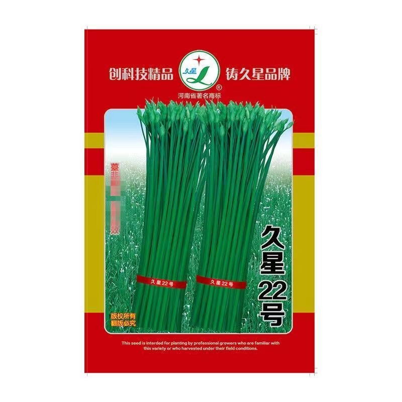 久星22号四季韭苔种子苔叶兼用韭菜苔韭耐热耐寒