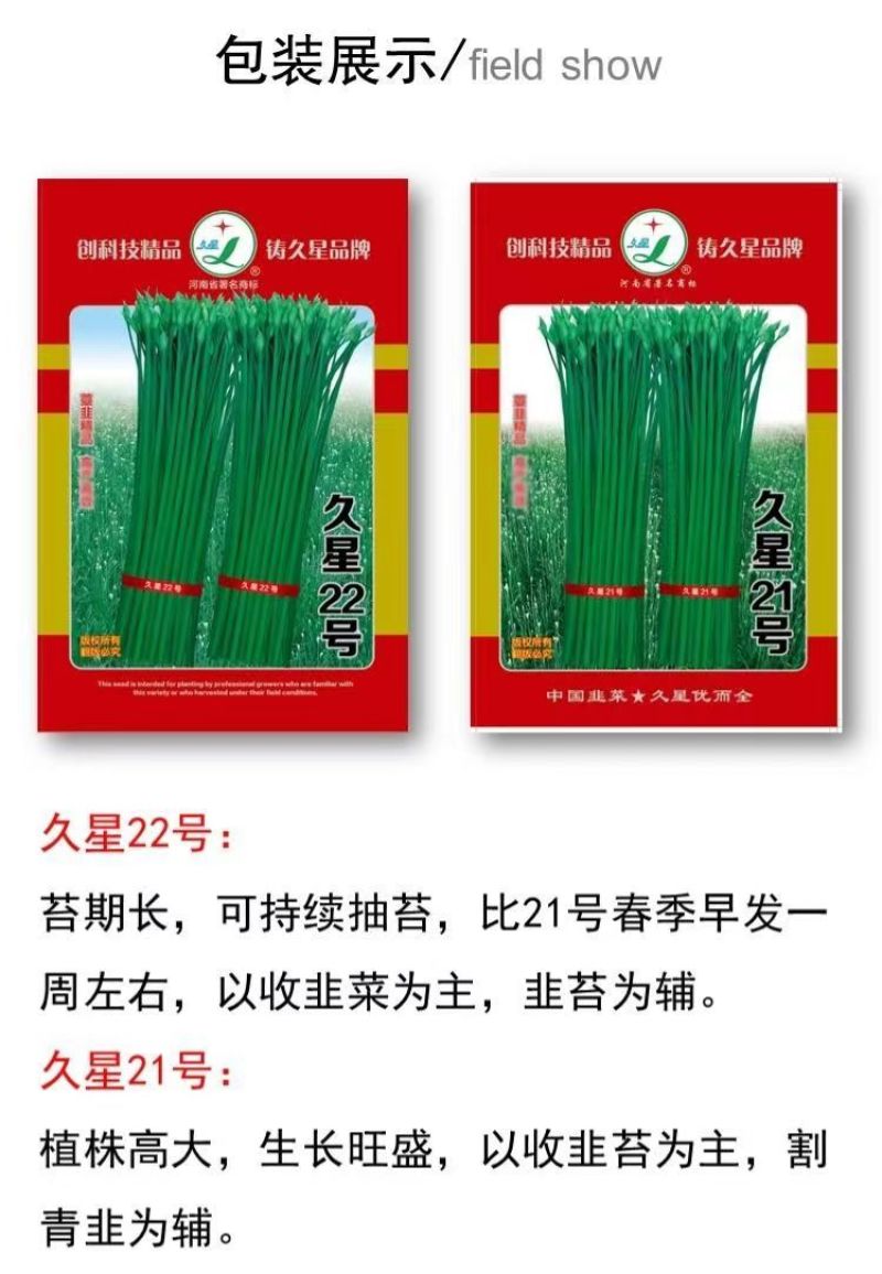 久星22号四季韭苔种子苔叶兼用韭菜苔韭耐热耐寒