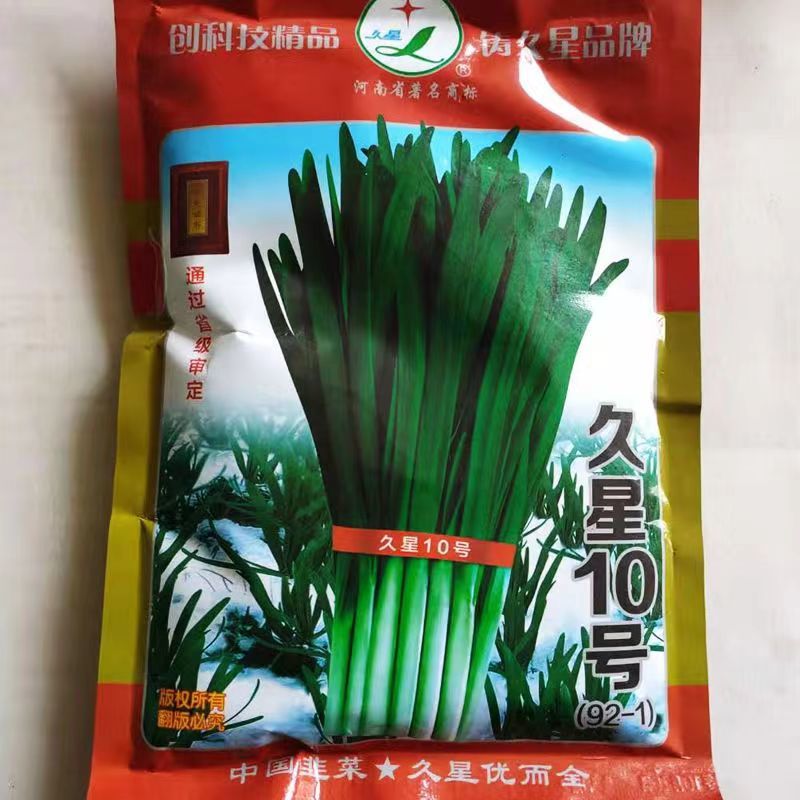 久星18号韭菜种子直立鞘长抗病抗寒抗倒伏宽大肥厚