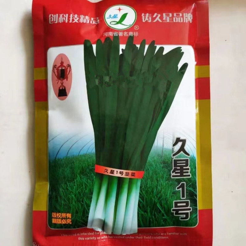 久星18号韭菜种子直立鞘长抗病抗寒抗倒伏宽大肥厚
